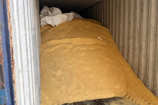 Carga com mais de 200 quilos de cocaína é interceptada no Porto de Salvador